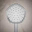 Occasion Single-Function 1.75 Gpm Handshower-900728473