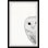 " Hidden Owl II "