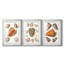 Coquillages collectés VII - Impression sur mesure encadrée de qualité supérieure - 3 pièces-758064711-758064729