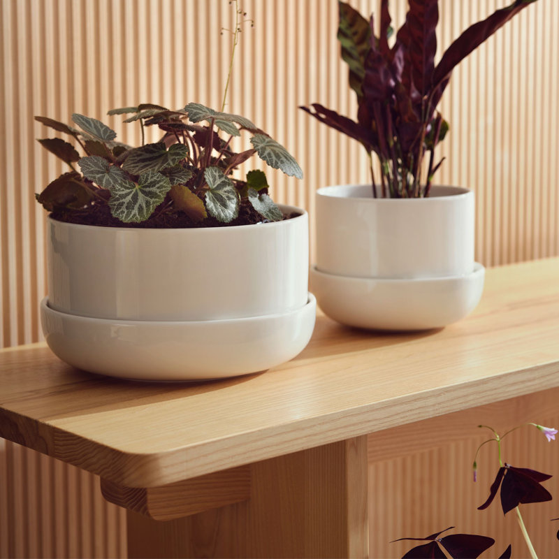 Juba Handmade Ceramic Pot Planter, White