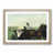 Oak Framed selected