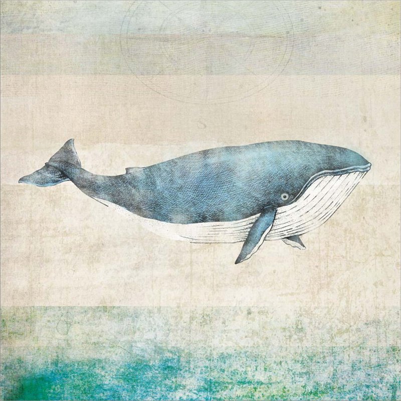 «Whale» par JMB Designs, art mural sur toile, H 24 po x l 24 po x P 1,5 po