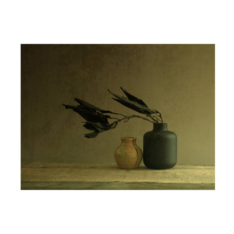 Art sur toile, la bolognaise Margaret Halaby, H 14 po x l 19 po