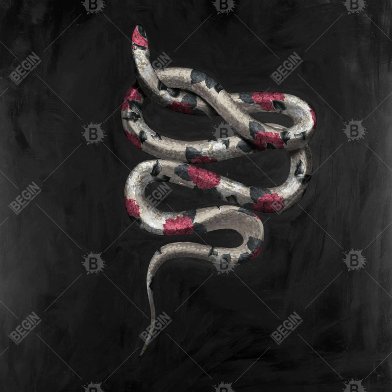 " Snake Flowers "
