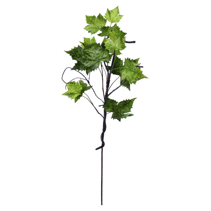 Vaporisateur Platanus, H 40 po x l 12 po x P 12 po