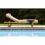 Quincy Outdoor Teak Chaise Lounge-491079035