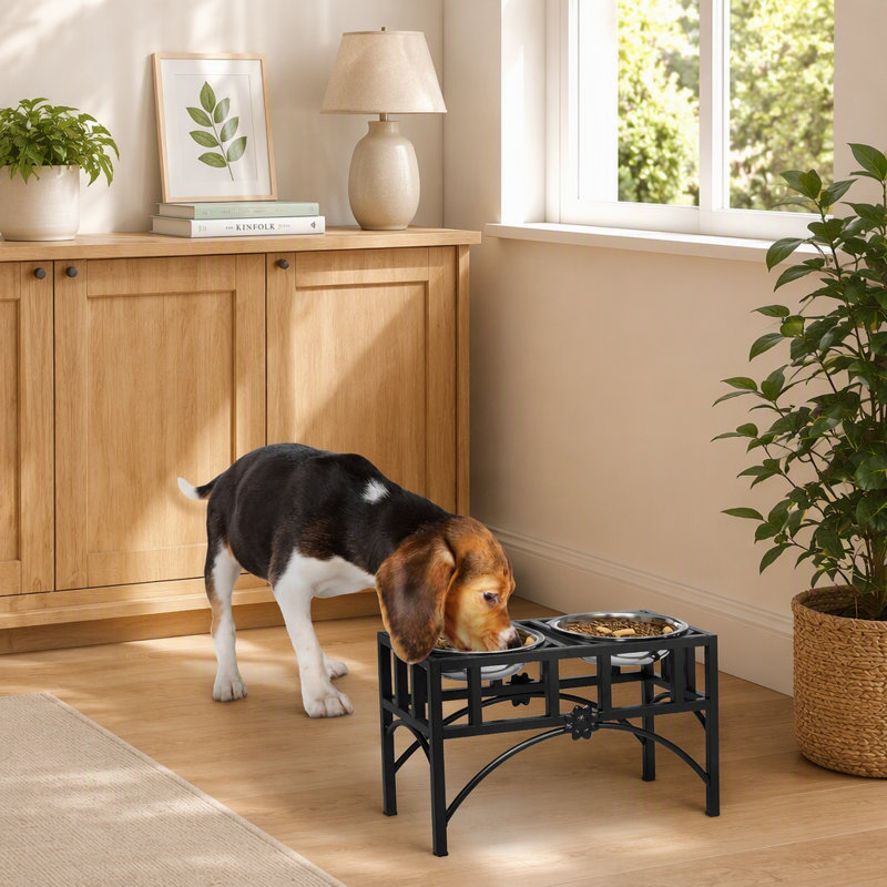 Gamelle pour chien, station d'alimentation pour animaux