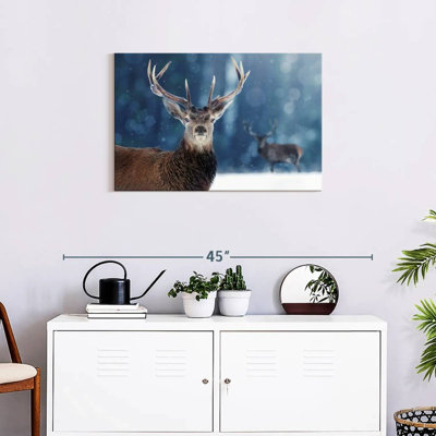 Brampt Male Noble Deer