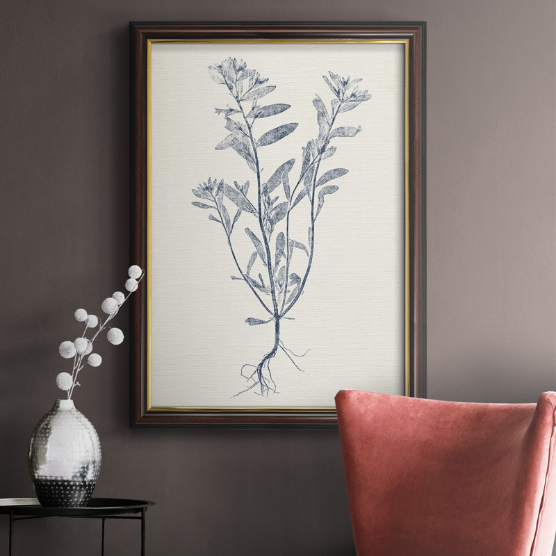 Marine Botanicals II - reproduction d'art sur toile, H 20 po x l 16 po x P 2,5 po