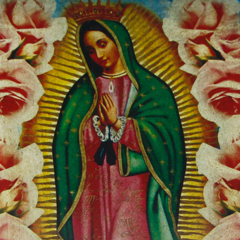 Organisateur de découpage Lotsee Belaim Guadalupe