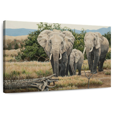 Éléphants de Brampt