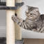 152cm H Cat Tree-515681124