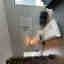 Photos des clients 1 de 1