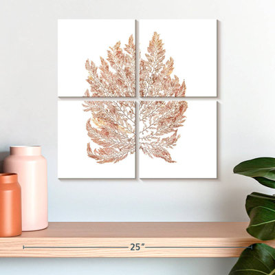 Harnek Pacific Sea Mosses I White