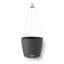 Hanging Planter-16493105-66329965