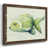 Walnut Framed