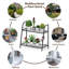 Quattlebaum Metal Plant Stand