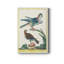 Toile tendue avec châssis de qualité supérieure Pastel Birds III - prête à être accrochée-816003373