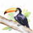 Toucan perched  - 32"x32" art on canvas