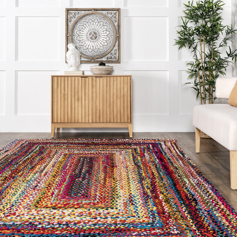 Handmade Braided Bohemian Cotton Multicolor Area Rug, Rectangle 3' x 5'