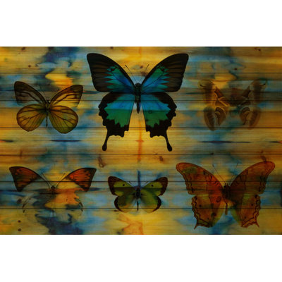 Reproduction d’art sur bois, "lepidoptera" par parvez taj