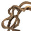 13" Coiled Vine, Dried-1805275673