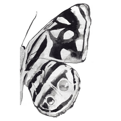 Monochrome Wings IV by Annie Warren - Wrapped Canvas Painting