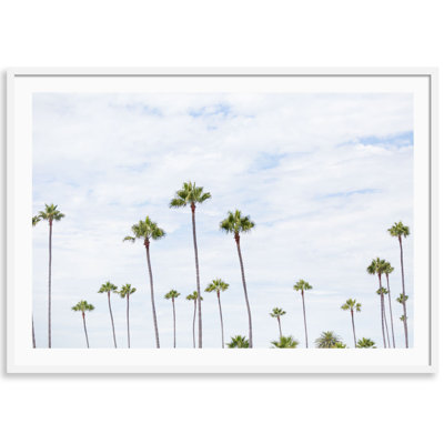 Montecito Palms Print by Carly Tabak