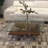 Ruby Glass Top Coffee Table