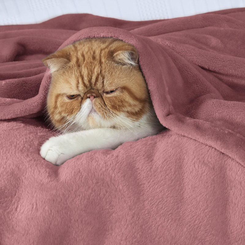 Bedsure Soft Fluffy Fleece Throw Blanket for Sofas&Beds, Dusty Rose, 150cm x 130cm