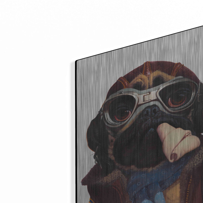 «Aviator Pug» par Thomas Fluharty, H 16 po x l 12 po