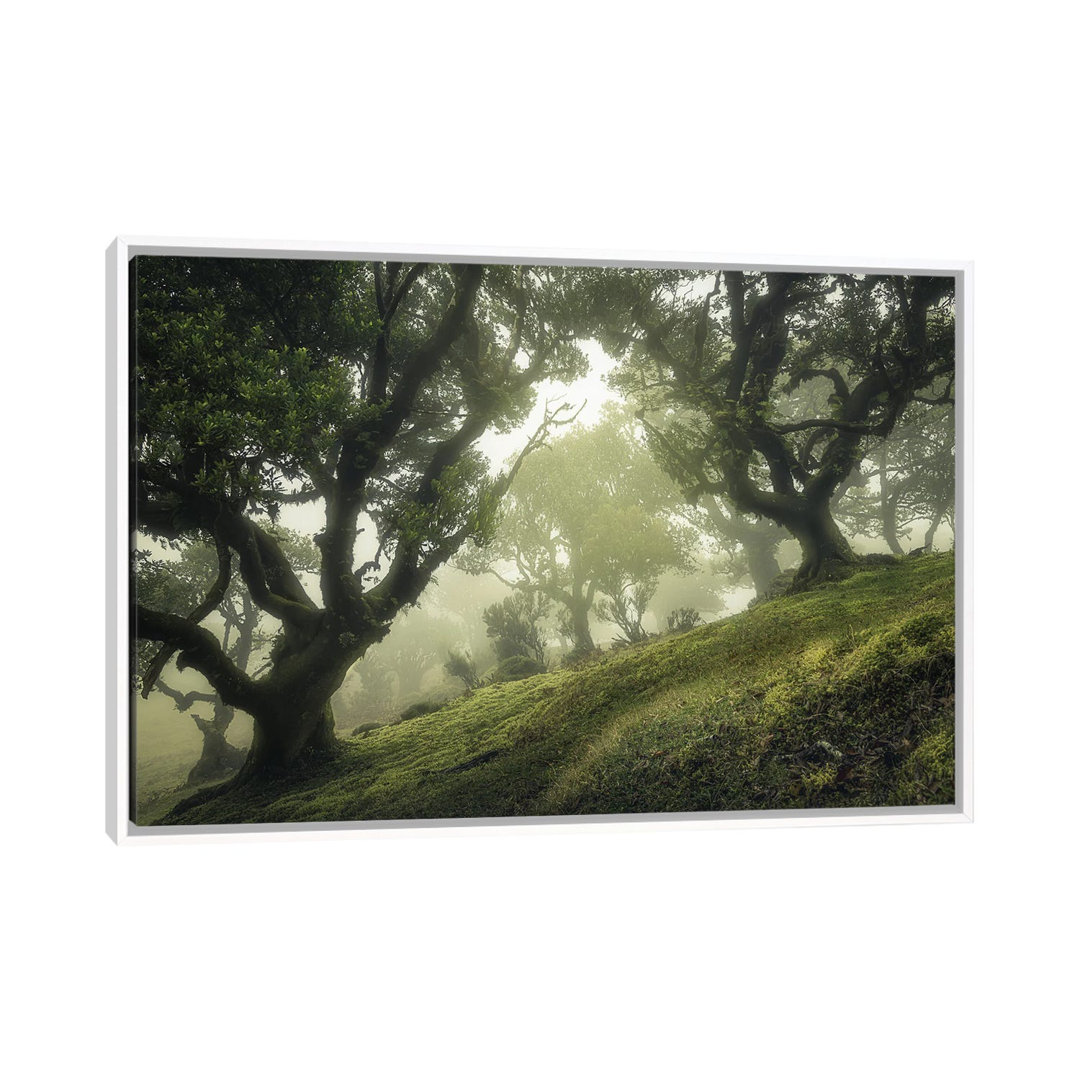 Enchanted Forest by Frans Van Der - Floater Frame Print on Canvas