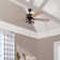 Curran 52'' Ceiling Fan with Light Kit