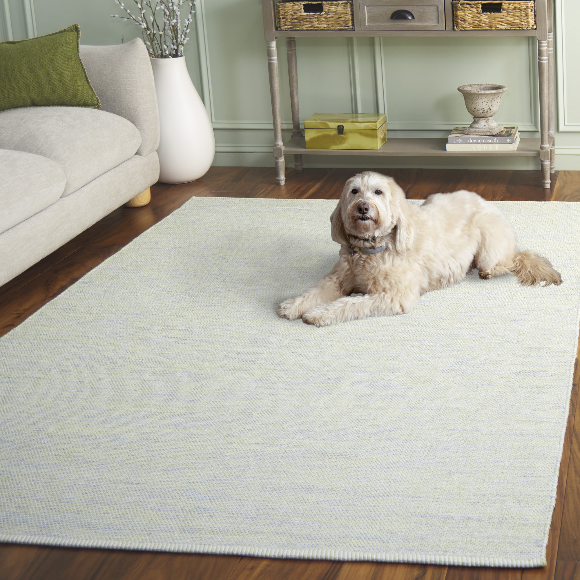 Dallis Cotton Rug, Rectangle 5' x 8'
