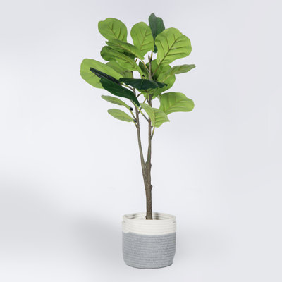 Chappell 39'' Faux Fiddle Leaf Fig Tree in Wicker/Rattan Planter