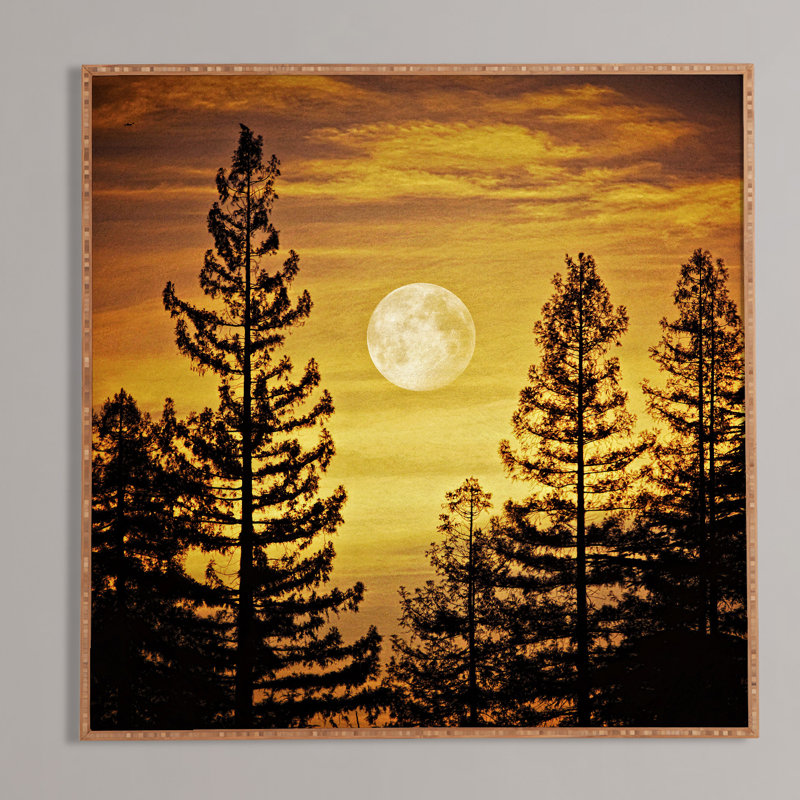«Moon», image encadrée, H 12 po x l 12 po x P 1 po