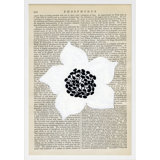 Phosphorus Print by Michela Sorrentino