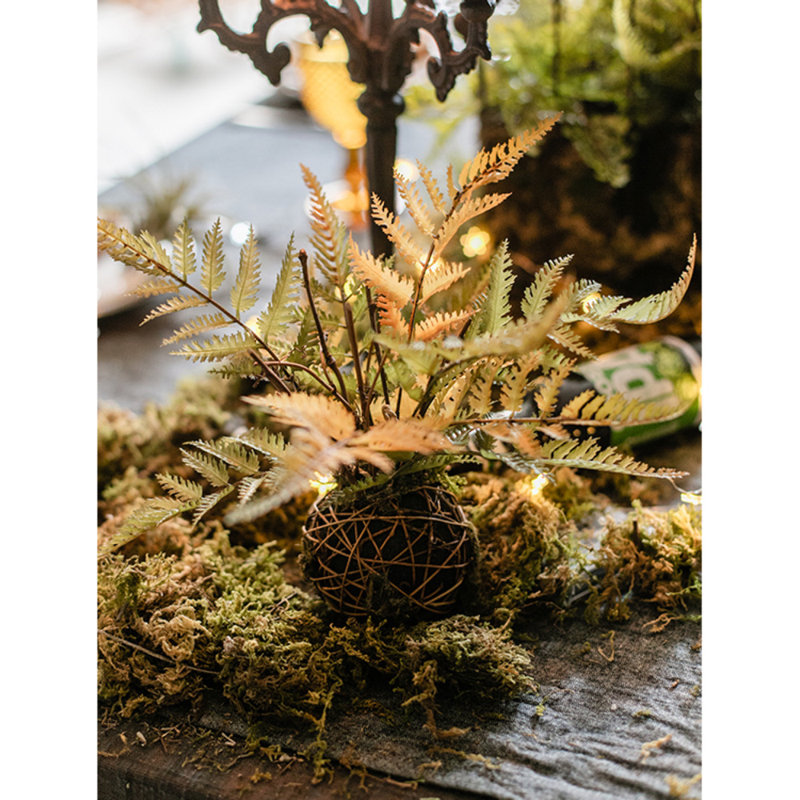 Tige de fougère d'automne, H 14,9 po x l 6,2 po x P 6,2 po