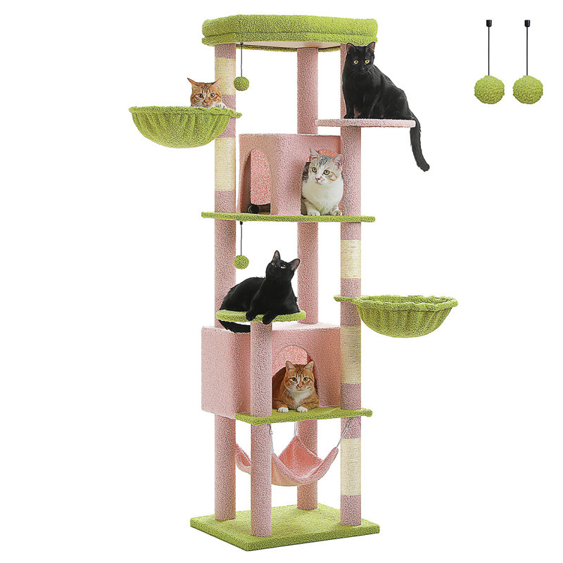Arbre à chat, Rose / Vert