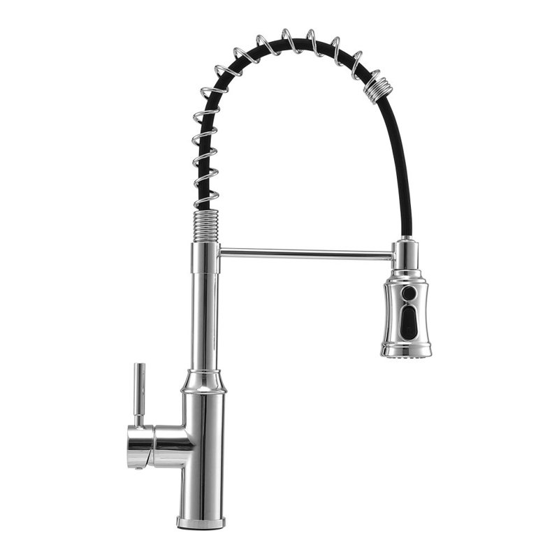 Belfry Kitchen Neetu Kitchen Faucet