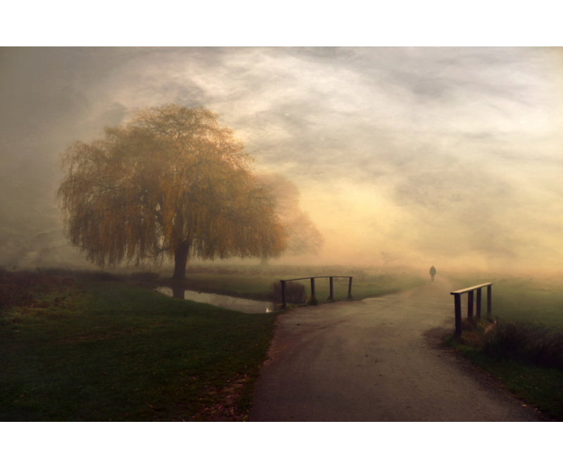 Wrapped Canvas Print, 81.28 cm H x 121.92 cm W
