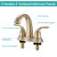 Centerset 2-handle Bathroom Faucet with Drain Assembly-93855130