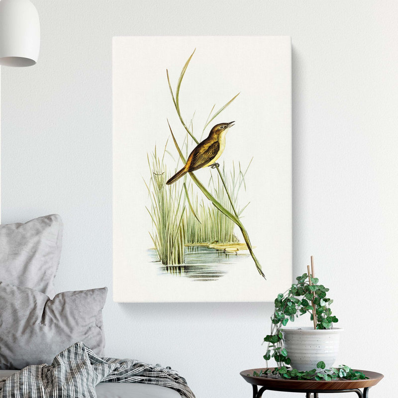 Reed Warbler by Elizabeth Gould - Wrapped Canvas, 50cm H x 35cm W x 3cm D