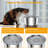 Anti-Skid Pet Fountain