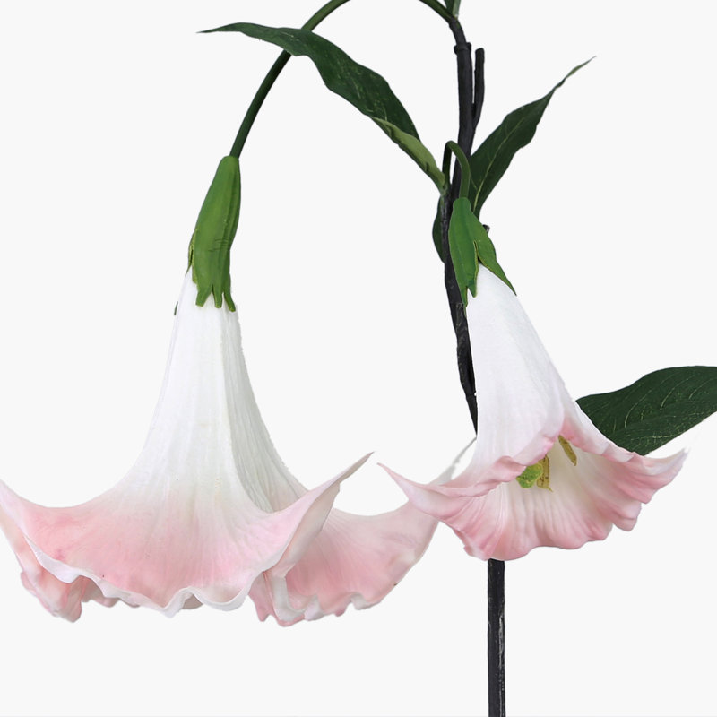 Angels Trumpet Arrangement, Pink