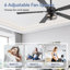 Ventilateur de plafond noir 48 pouces avec lumières et télécommande, 5 pales réversibles avec finition noir mat