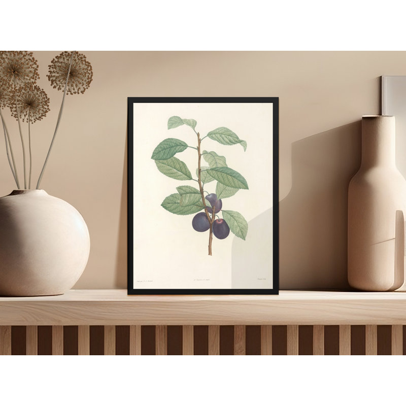 Phyllida Floater Frame Print, 11x14