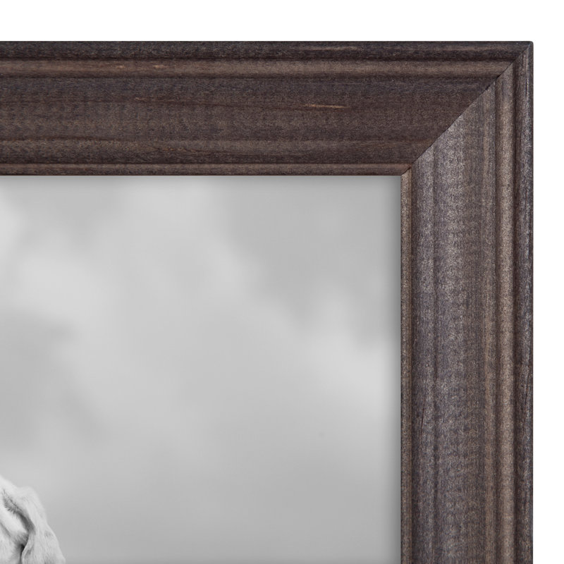 Kymarion Matte Picture Frame - Set of 6 with Mat, Multicolor