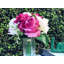 Silk Mixed Arrangement-30611195
