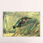 'Kingfisher' by Vincent Van Gogh Painting Print-21212907